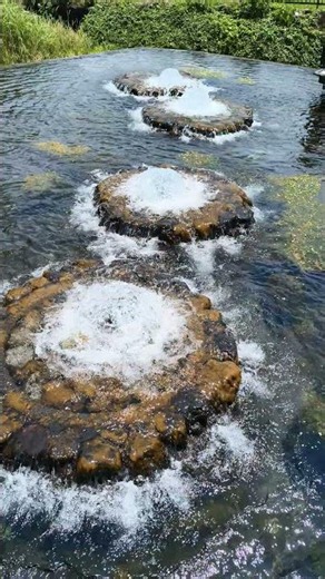 丸池公園＠静岡県駿東郡清水町