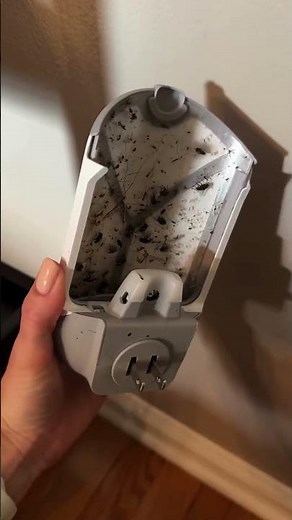 3 Great Ways to Remove Bugs