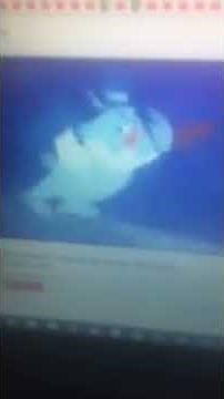 Disney Sing Along Songs Zip-A-Dee-Doo-Dah