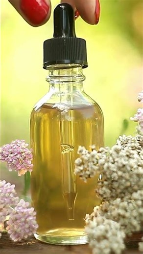 Yarrow and it's healing power #gardening #herbs #medicinalgarden