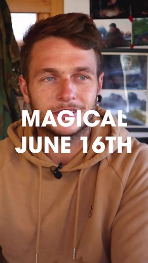 3.4K views · 40 reactions | LONG LIVE THE BUZZ  Meet Finn Lewis, a...