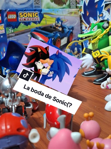Sonic y Shadow: Momentos Random Parte 100