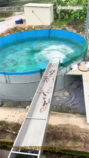 Genius Fish Transfer Slide for Moving Fish Easily