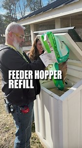 4.2K views · 1.8K reactions | After 100+ days, our feeder hopper is ready for a refill. Look how easy it is to fill and keep 100 lbs of feed dry, mold free, and rodent free for your chickens | Carolina Coops | Facebook
