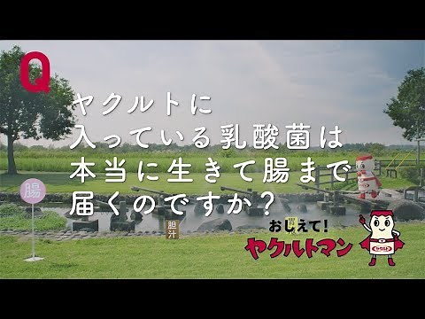 【ヤクルト公式】腸まで届く篇「おしえて！ヤクルトマン」