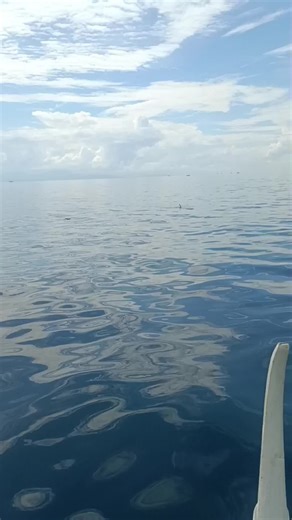 Fishing Adventures in the Philippines: Catching Big Fish