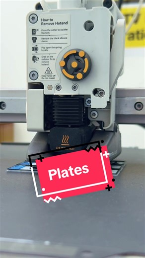 Custom 3D Printed Registration Plates for Unique Gifts
