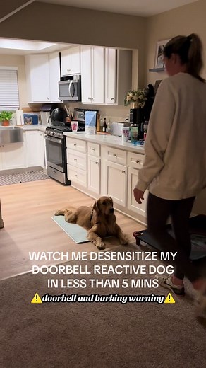 Told ya’ll Winston is the most neutral dog until anything happens at our front door 😅 Are we cured? No…But celebrating the small wins 🤞🏼 We are using the Relaxation Protocol for anyone interested! Day 11 introduces door bells 😅 #dogmom #dogmomlife #dogmomaf #millennialdogmom #dogmomtips #dogtraining #reactivedogtraining