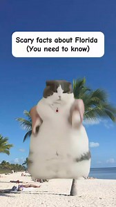 507K views · 10K reactions | Scary facts about Florida, you need to know | Simply Stated History | Facebook