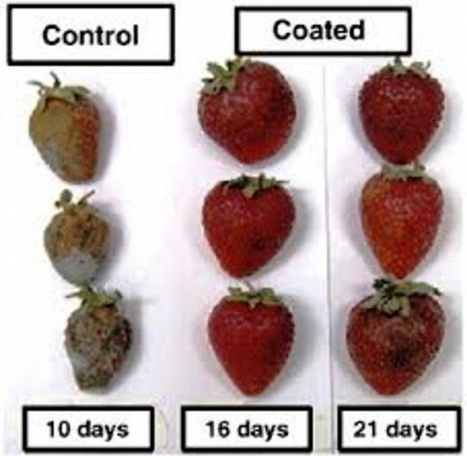 Edible Films: Eat Your Food With the Wrappers On!