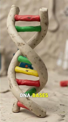 Life on Earth Uses a Different Genetic Alphabet - And Nobody Saw It Coming 🧬👽