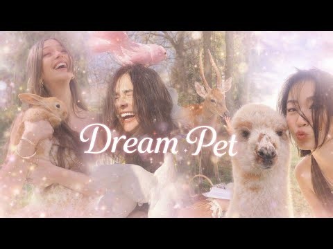 PERFECT DESIRED PET 🐾