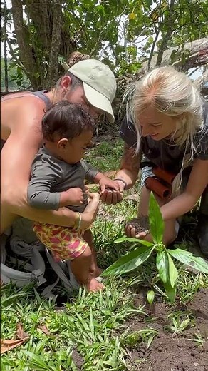 🦥 Saving Sloths Starts With Saving Forests | World Rainforest Day