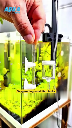 Effortlessly Oxygenate Small Fish Tanks with Quiet Diffuser