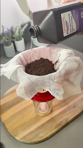 This Coffee Repellent Works Better Than Anything You've Tried #BugFree #Hack
