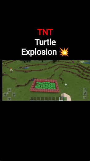 TNT Turtle explosion 💥 #minecraft #minecraftgameplay #miniecraft #gaming #minecraftgaming