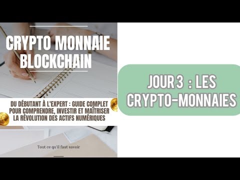 Jour 3 : Le Bitcoin: L’originel et Le Roi ?