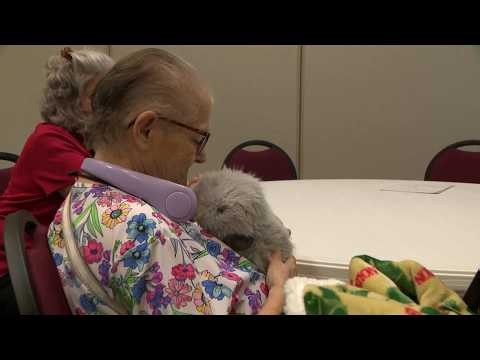 Researchers studying impacts of AI robot companions for older adults