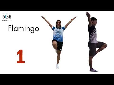 Gymnastics positions
