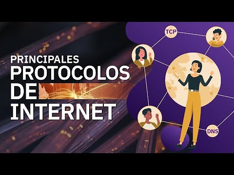 What are Internet protocols?