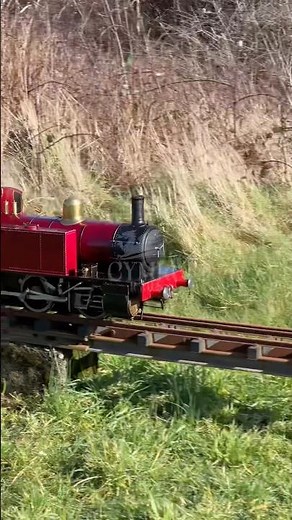 GARDEN RAILWAY! A classic afternoon with miniature steam locomotives 🚂💨 #MiniatureRailway