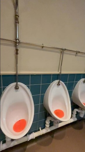 British male pub toilets urinals pissoir #onlyfans
