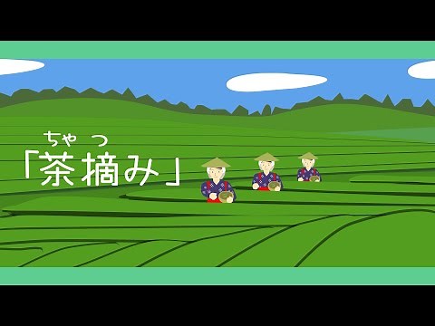 茶摘み（ちゃつみ）【童謡・唱歌・日本の歌】アニメーション/Japanese song