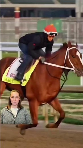 Fast, faster, fastest. #horse #kentuckyderby #running #educational