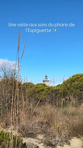 Une visite au phare en mode ASMR 🤫 Ici, le sable s’étire à l’infini et le vent souffle juste assez pour rappeler que l’on est vraiment au bout de la Camargue 🦩 Au milieu le phare veille, solide, depuis plus de 150 ans. Une parenthèse calme et lumineuse. | Phare de l'Espiguette