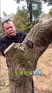 52cc 2 Stroke Engine Gasoline Chain Saw for Tree Pruning orBranch Cutting