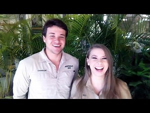 Bindi Irwin Reveals How She Honored Her Father During Australia Zoo Wedding (Exclusive)