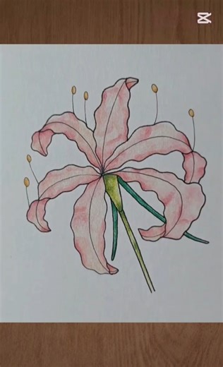 Easy Spider Lily #drawing #art #flowers #tubaarts