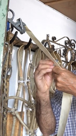 1.6M views · 20K reactions |  ¡Ya disponible en YouTube!  En esta...