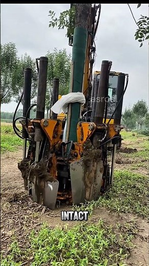 Hydraulic Tree Spade Machine — How It Transplants Huge Trees Safely!