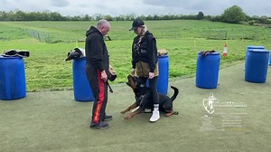 K9 Training Sevices Dog Training Centre of Excellence Just a tiny fraction of the work we do here at K9 Training Services. * Dog Trainer/Instructor Mentorship Program ✅First of its kind in the UK 🇬🇧 * Residential Dog Training (Weekly/Monthly * Pet First Aid Level 2 (VTQ) courses * Accredited and Approved CPD trainer * Accredited & Approved trainer and training centre for Protrainings * Behavioural Modification ✅ * Personal Protection Dogs ✅ * IGP Dogsport ✅ * Hold IGP Trials and events ✅ * IGP