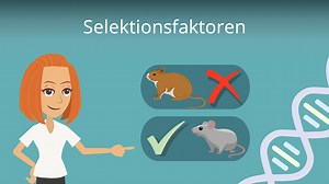 Selektionsfaktoren • biotisch und abiotisch