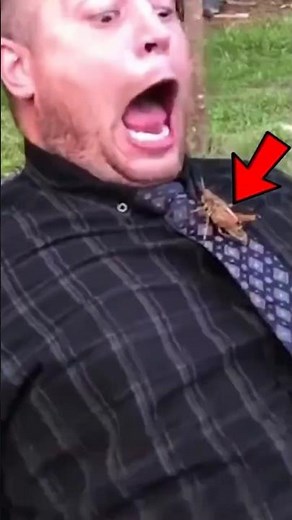 TOP 5 FUNNIEST COCKROACH MOMENTS EVER CAUGHT ON CAMERA! 😂🪳 #shorts #funny #cockroach