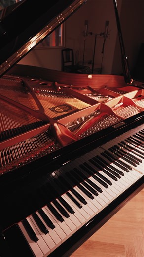 This work reimagines Beethoven’s third movement of the “Moonlight” Sonata as a hyperstimulus—a sonic construct that accelerates and sustains neural excitation. It rejects resolution and instead indulges in endless triggering, aiming to saturate space and consciousness with recursive intensity. About the Series Decode. is a series of re-compositional works that extract, disassemble, and reprogram the hidden logic embedded within great masterpieces of classical music. Each work functions as a neur