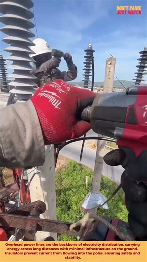 Lightning Protection on Power Lines ⚡ #energy #pov #protection #line #highlights