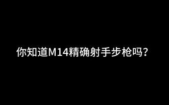 带你了解M14