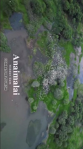 Discover the breathtaking beauty of Anaimalai Hills! Nature’s masterpiece awaits. 🌿🌄 #Anaimalai