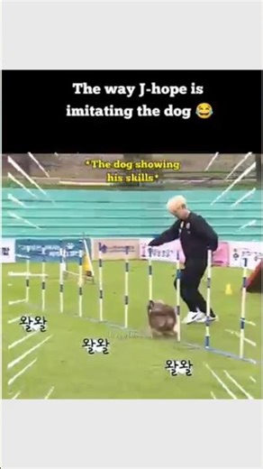 jhope is imitating the dog perfectly !!😂😂#bts #jhop