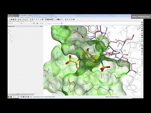 Covalent Ligand Docking Webinar using MolSoft ICM-Pro
