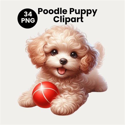 Poodle Puppy Clipart Watercolor, 34 PNG Toy Poodle Dog Bundle, Cute Fluffy Puppy Illustration for Crafts, Nursery Art, Sublimation - Etsy