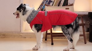 NACOCO Warm Dog Winter Coat - Padded Fleece Dog Jacket with Harness Built in Windproof Vest Reflective Stripe Adjustable Clothes Snow Cold Weather Outfit for Small Medium Large Dog (Red, XL)