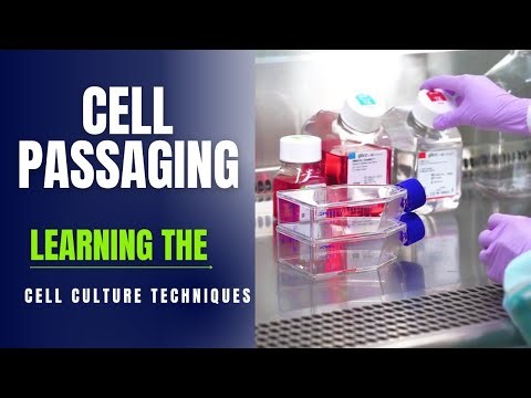 "Effortless Cell Passaging: Tips & Tricks for Perfect Results"
