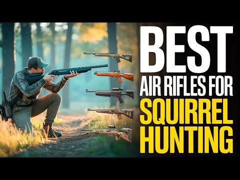 Top 8 Best Air Rifles For Squirrel Hunting 2026!🔥🔥