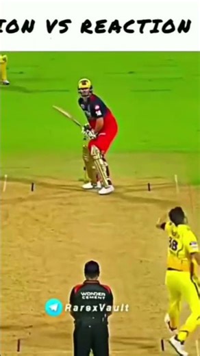 Tim David rocks# Csk shocks# VK 18 Fans#