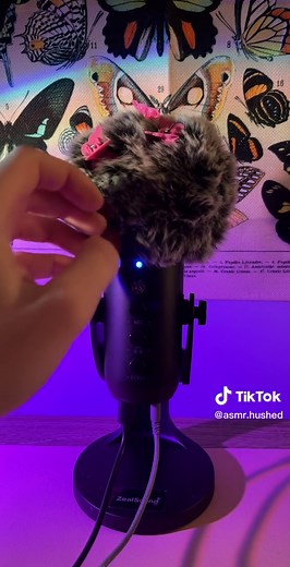 Bugs ASMR! #asmr #asmr_tingles #asmrsounds #tingles #fyp