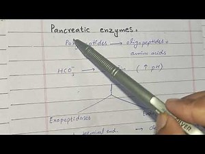 Protein digestion and absorption biochemistry| nitrogen metabolism biochemistry| ch 19 Lippincott
